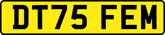 DT75FEM