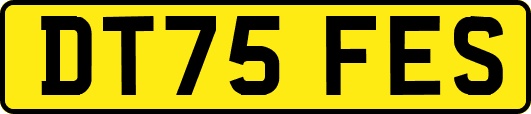DT75FES