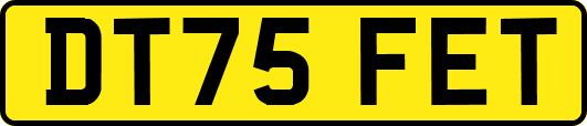 DT75FET
