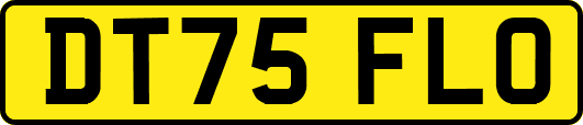 DT75FLO