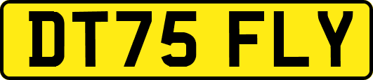 DT75FLY