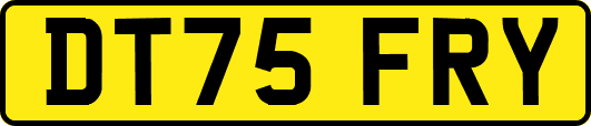 DT75FRY