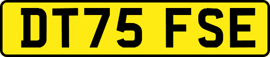 DT75FSE