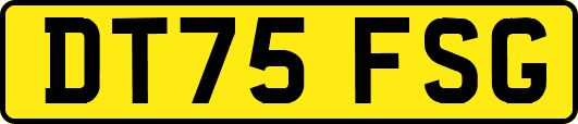 DT75FSG