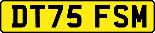 DT75FSM