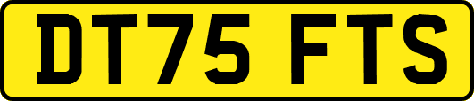 DT75FTS