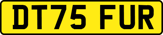 DT75FUR