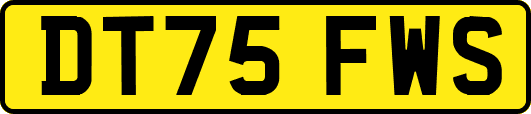DT75FWS