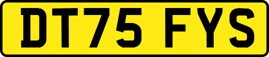DT75FYS