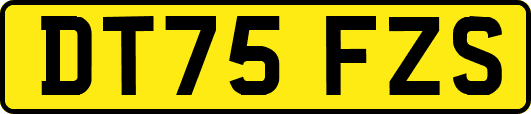 DT75FZS