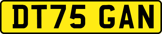 DT75GAN