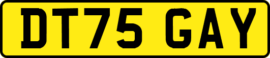 DT75GAY