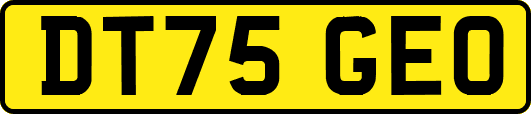 DT75GEO