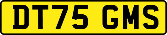 DT75GMS