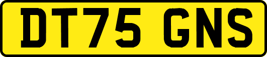 DT75GNS