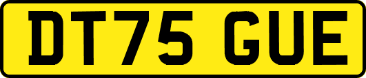 DT75GUE