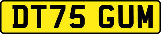 DT75GUM