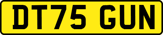 DT75GUN