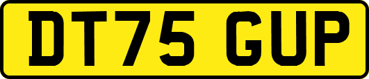 DT75GUP