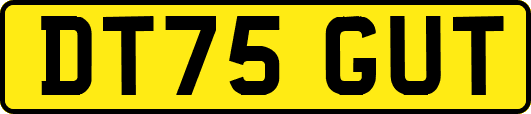 DT75GUT