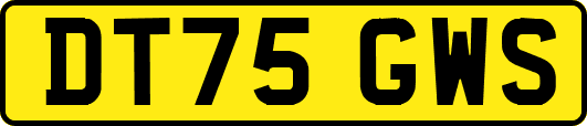 DT75GWS