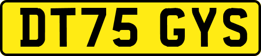 DT75GYS