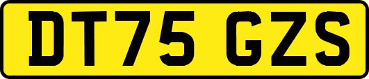 DT75GZS