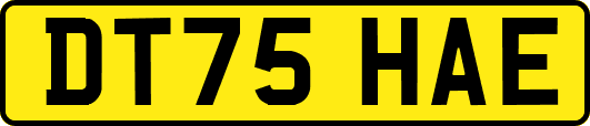 DT75HAE