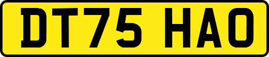 DT75HAO