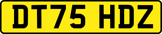 DT75HDZ