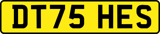 DT75HES