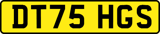DT75HGS