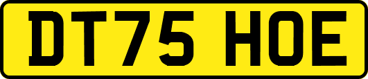 DT75HOE