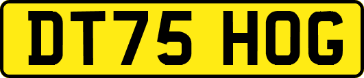 DT75HOG
