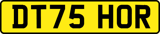 DT75HOR