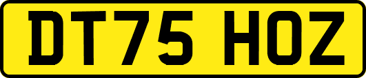 DT75HOZ