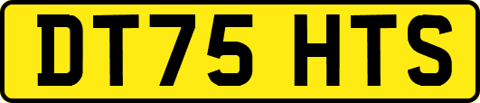 DT75HTS