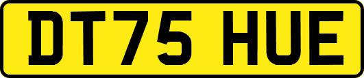 DT75HUE