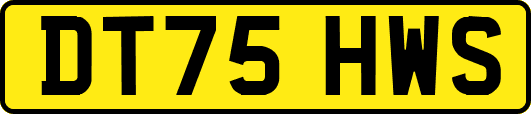 DT75HWS