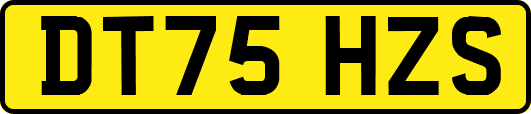 DT75HZS