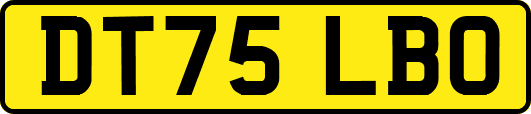 DT75LBO