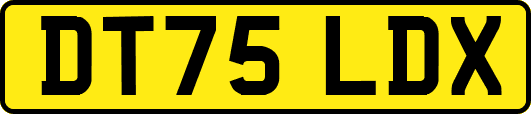 DT75LDX