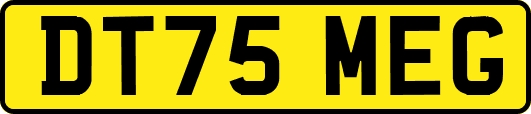 DT75MEG