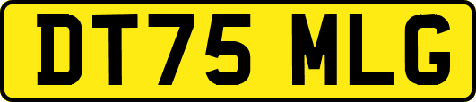 DT75MLG