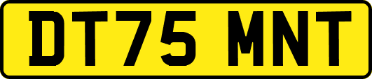 DT75MNT