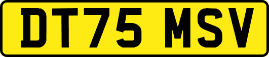 DT75MSV