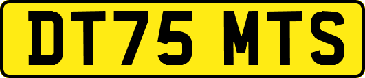 DT75MTS