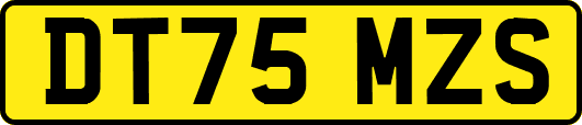 DT75MZS