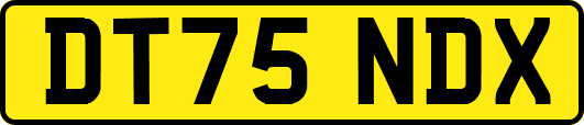 DT75NDX