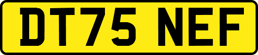 DT75NEF